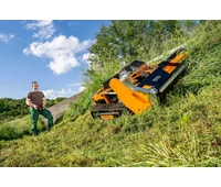 AS-Motor AS 1000 Ovis EVO RC
