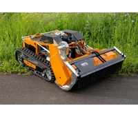 AS-Motor AS 1000 Ovis EVO RC