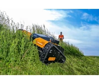 AS 990 Tahr RC